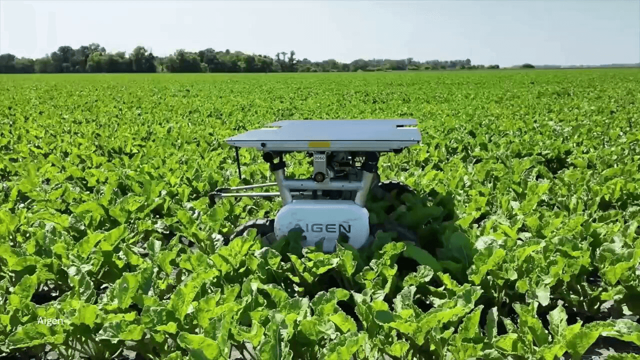 coinkcgchannel/79155/5957540490972433698