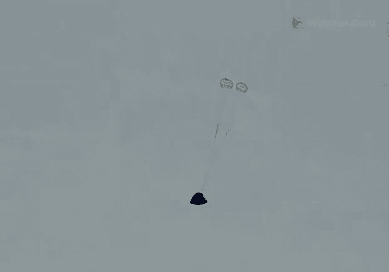 coinkcgchannel/79360/5968778109693660289