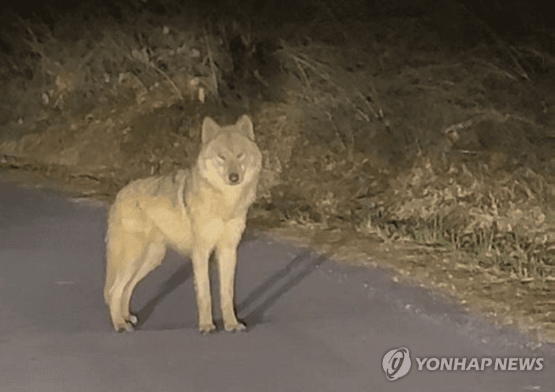 coinkcgchannel/79660/5984372800937987289