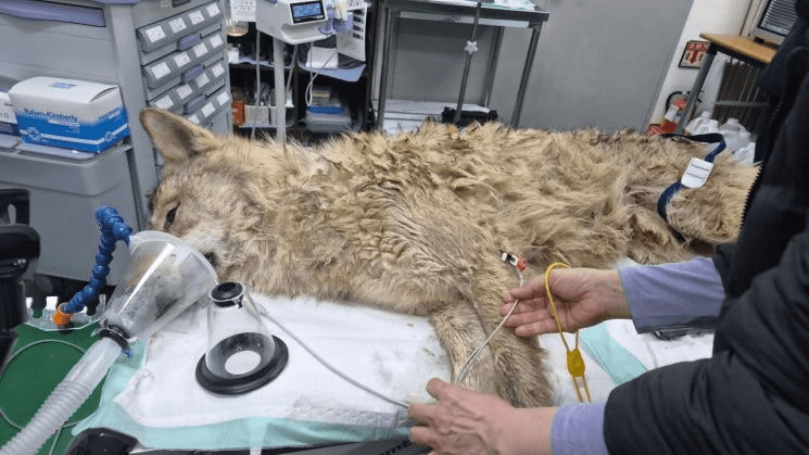 coinkcgchannel/79699/5986848987023084633