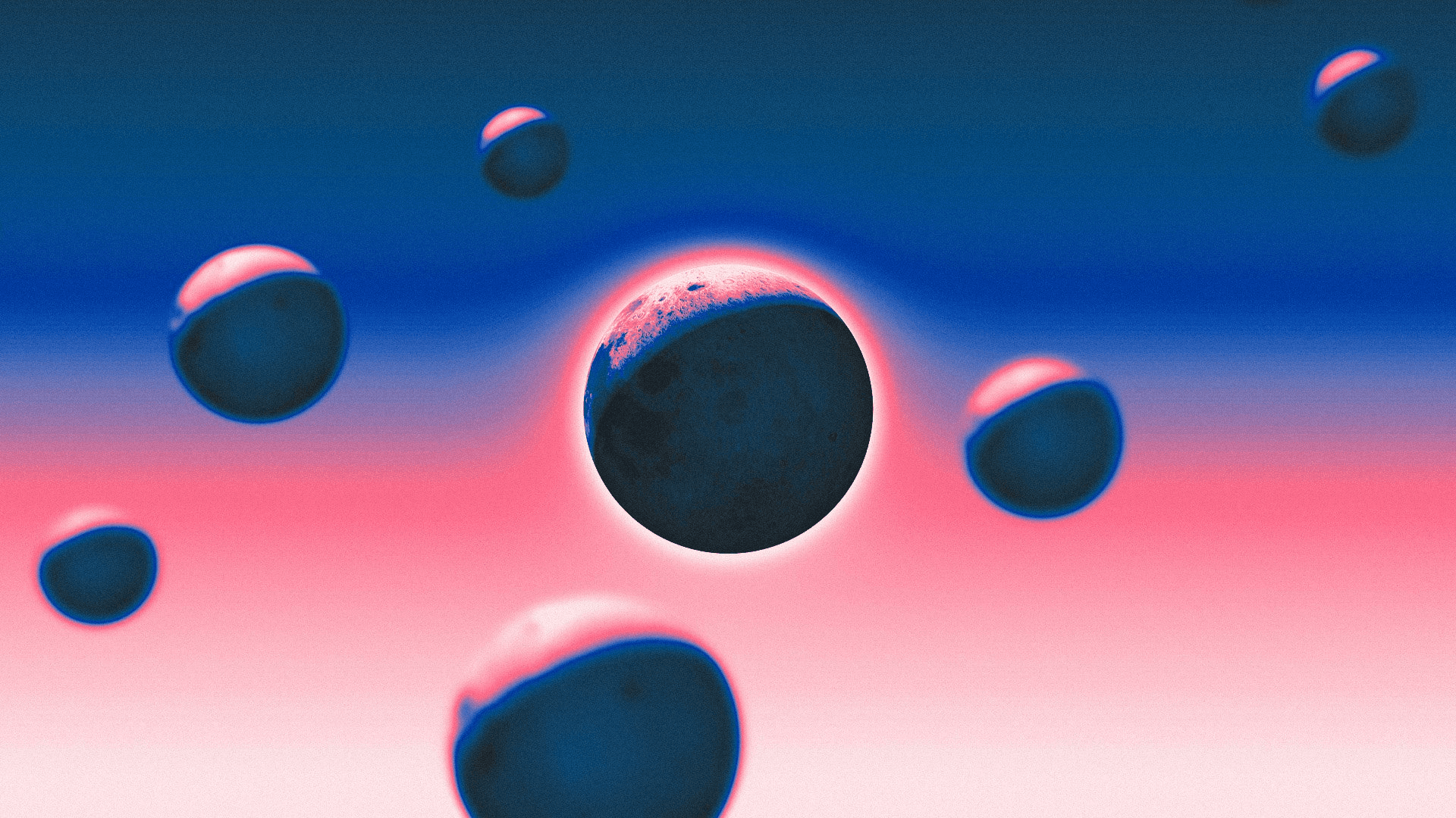 coinkcgchannel/80210/6022644120637520218