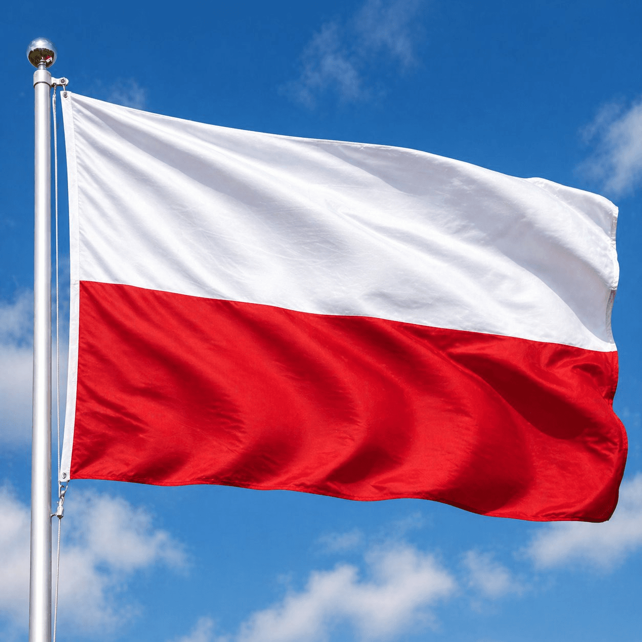 coinkcgchannel/80494/6025036279986195722