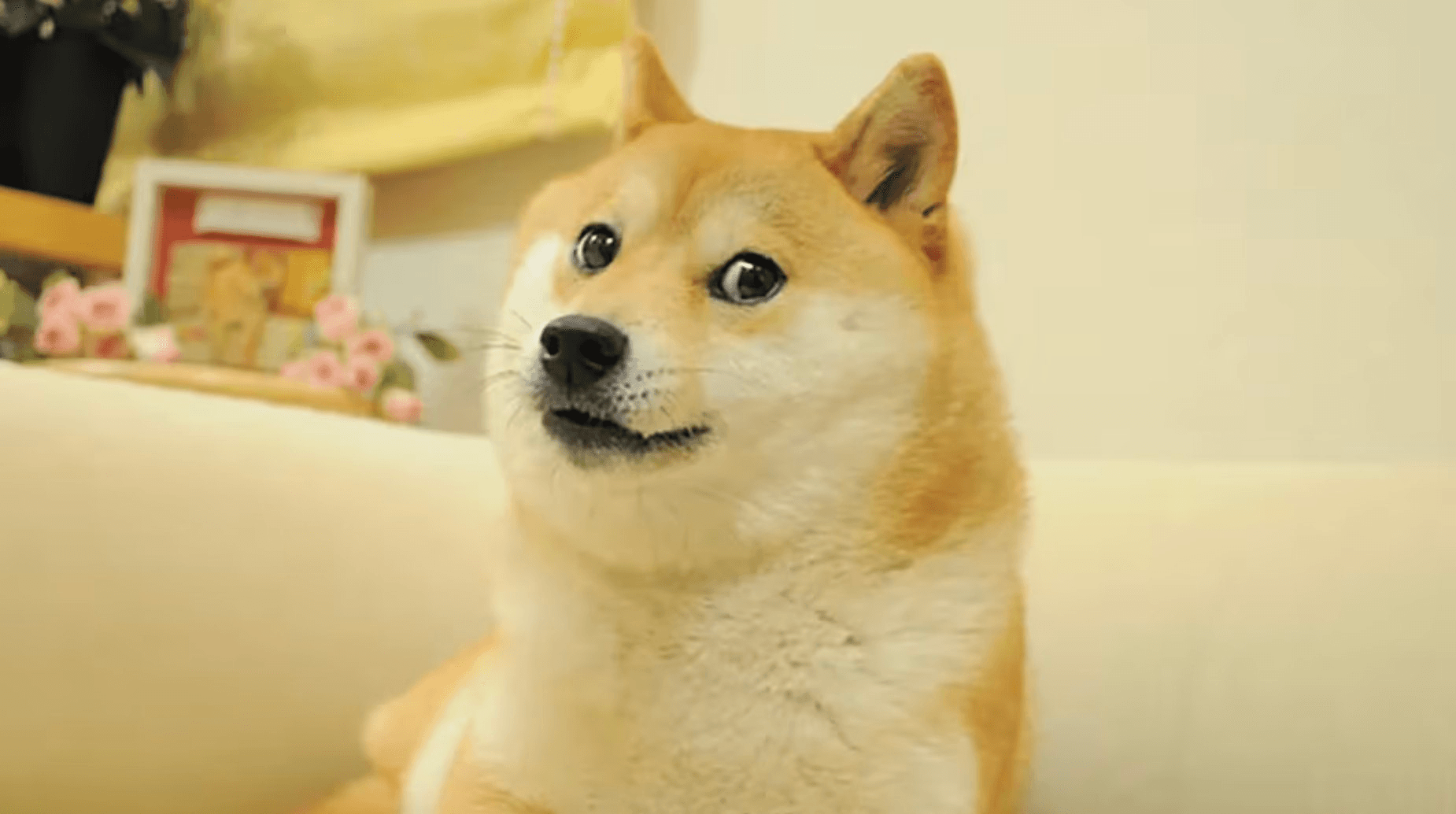 coinkcgchannel/82075/5923714900507167611