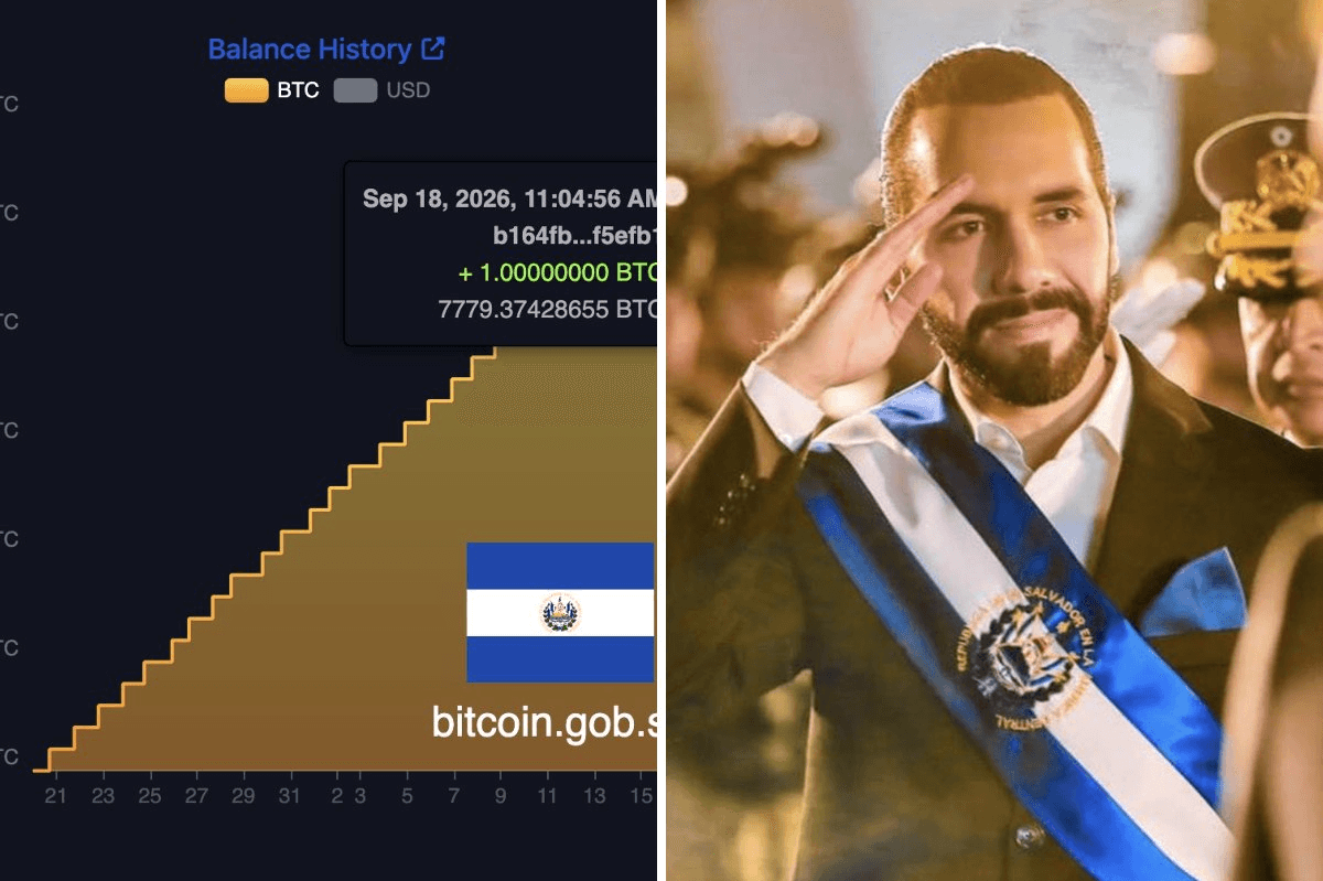 coinkcgchannel/86460/5867288423331205098