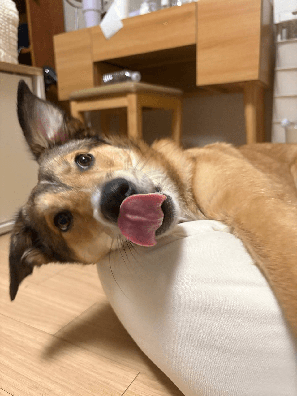 colufarmers/19586/5139140936645414038