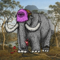 davidanecdotekr/4179/6044975158847977229