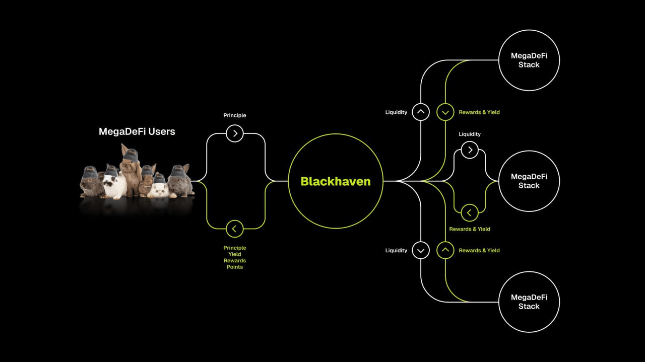 davidanecdotekr/4401/6334597538199047749