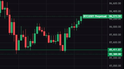 diglett88/10730/6124988788963478594