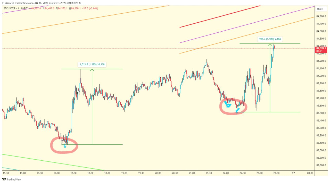 diglett88/9490/6053326447877145462