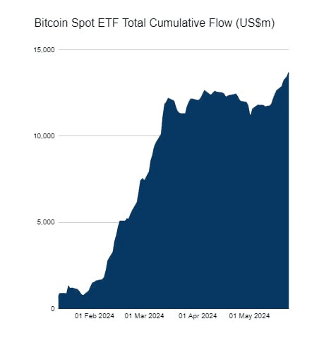 dontak00/5100/6237592854251815090