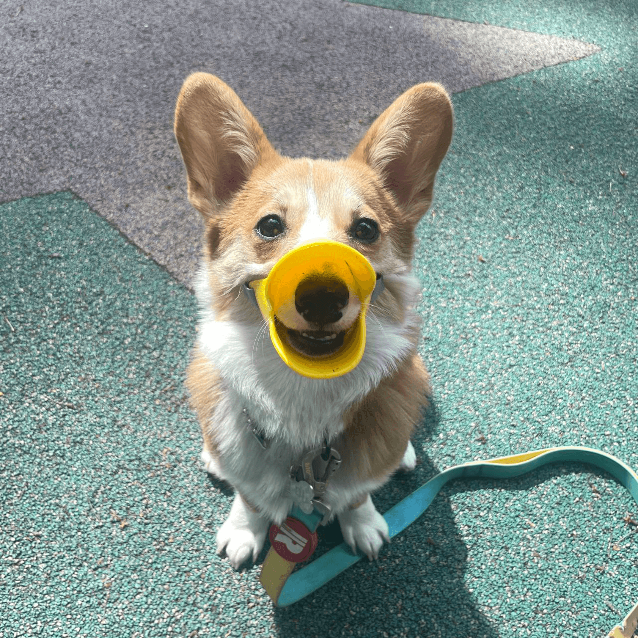 enjoymyhobby/88065/6075461051463352757