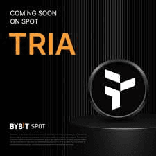 enjoymyhobby/94105/6055533824847843347