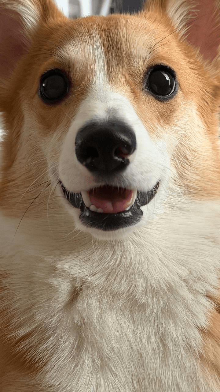 enjoymyhobby/94980/6183457252505750940