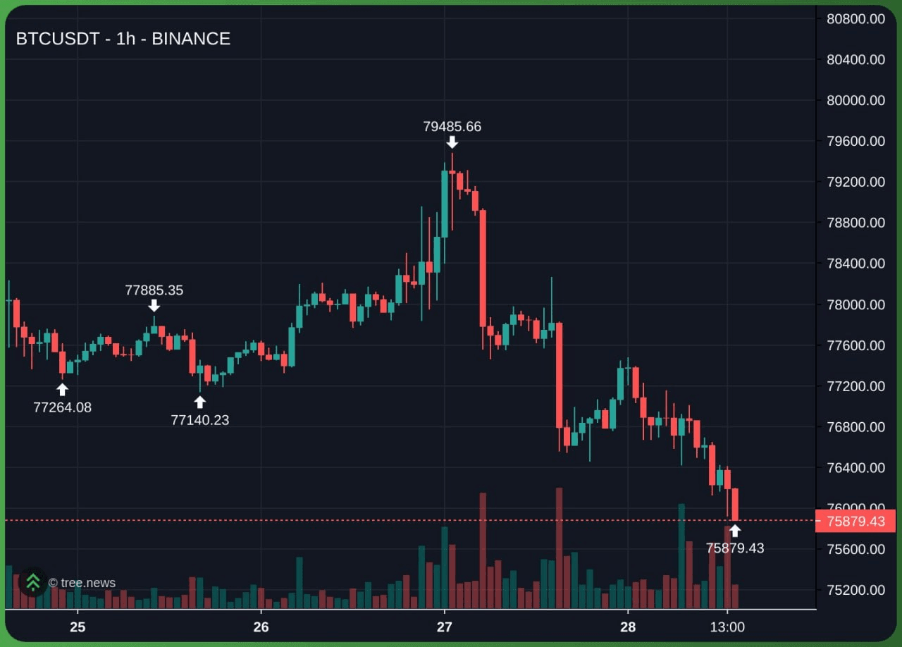 enjoymyhobby/95597/6307537607851709017