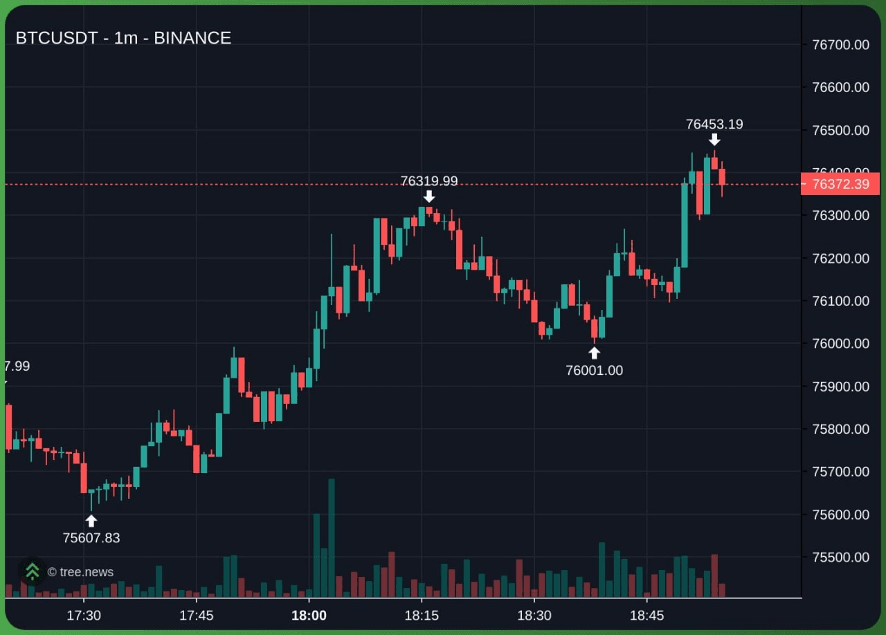 fireant_crypto/40883/6285207097922228012