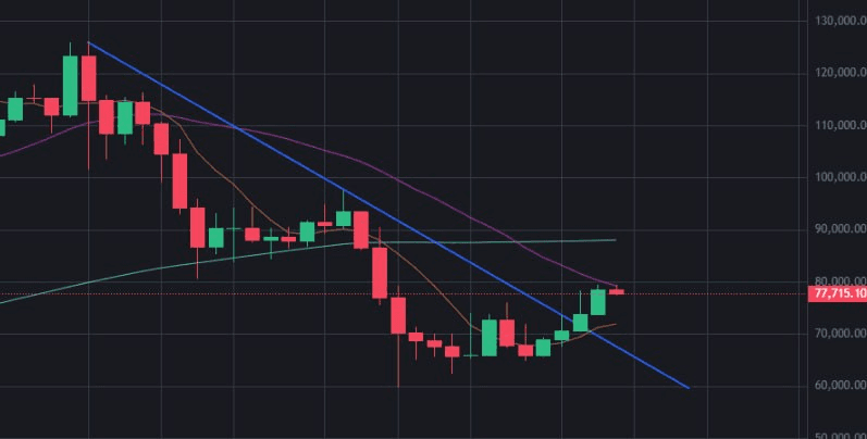 fireant_crypto/41017/6303312206141002012