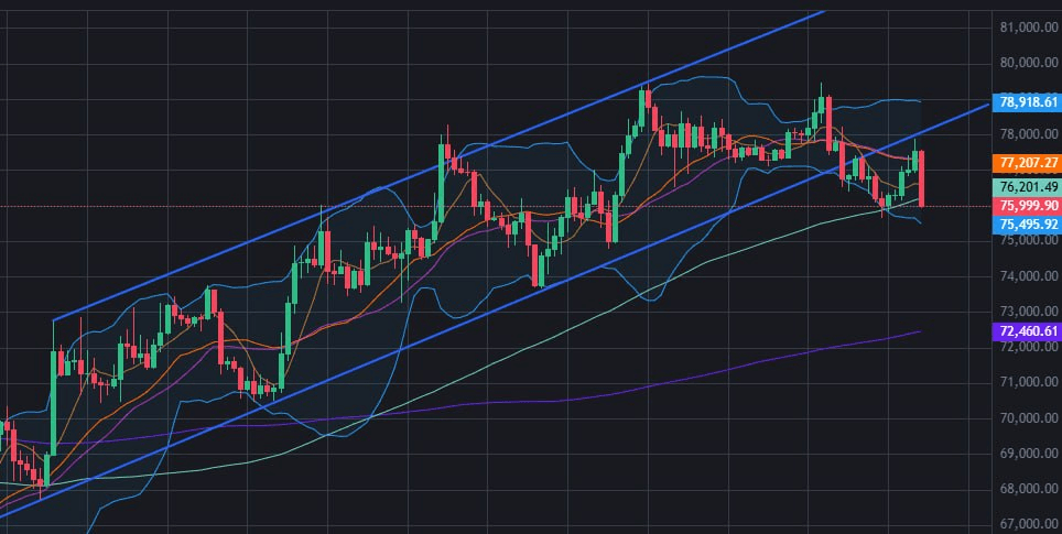 fireant_crypto/41070/6309854558024307630