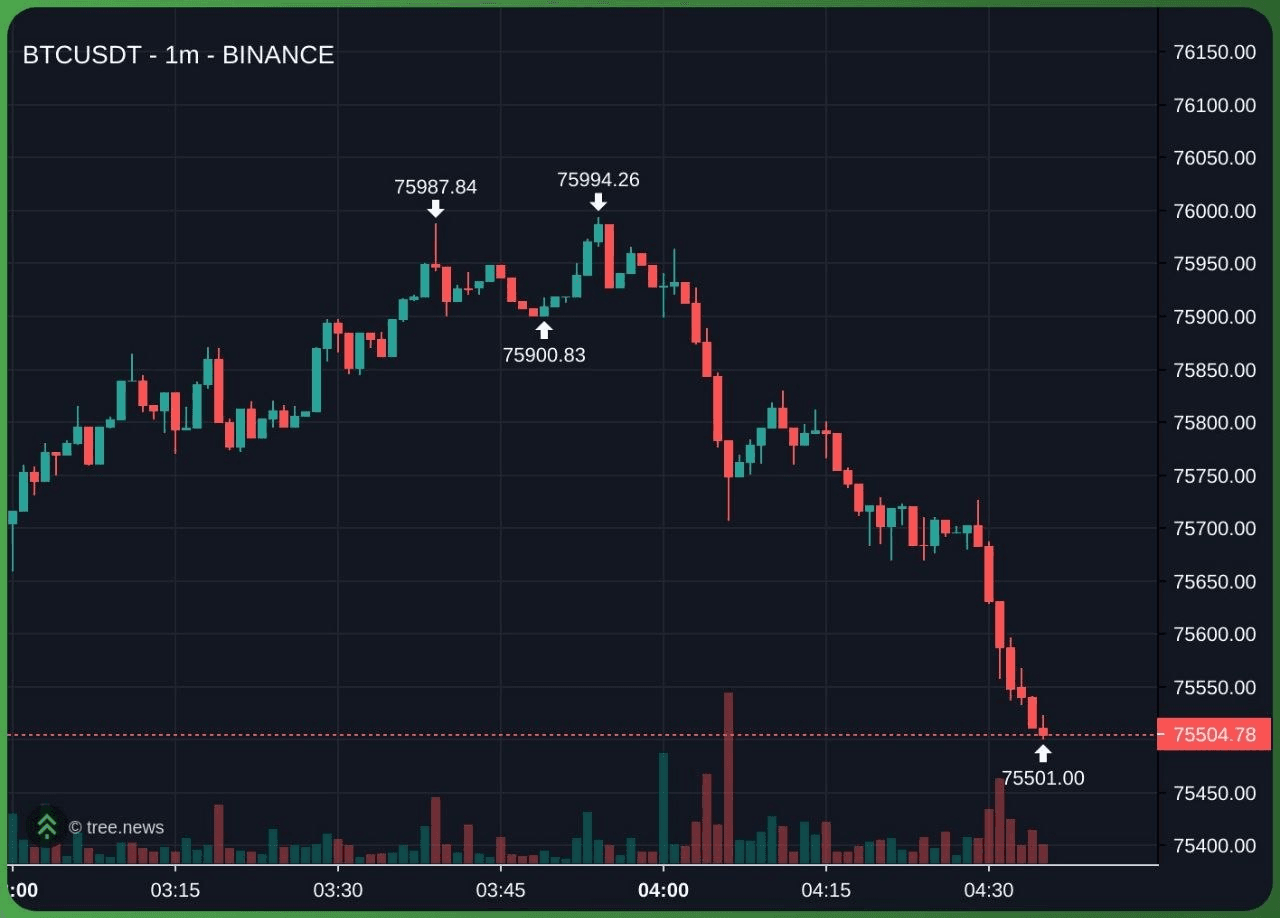 fireant_crypto/41076/6312106357837995488