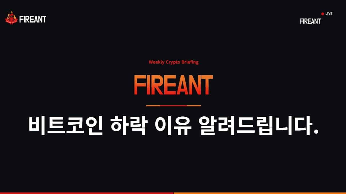 fireant_crypto/41407/6073251827664228585