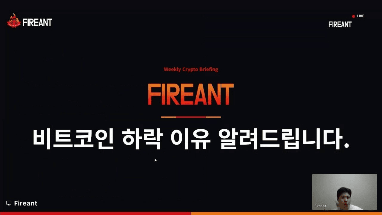 fireant_crypto/41474/5797786128675966619