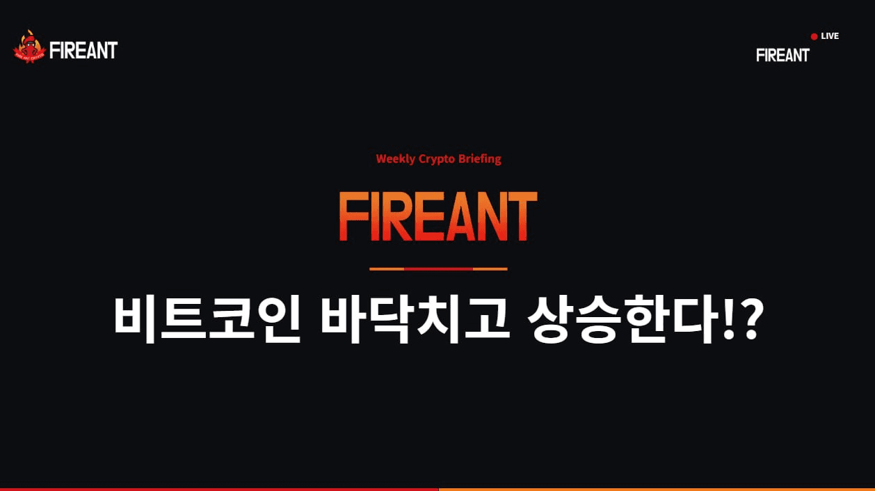 fireant_crypto/42256/6179185353479098164