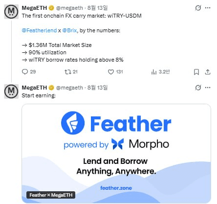 fireant_crypto/43833/6096034765153702340