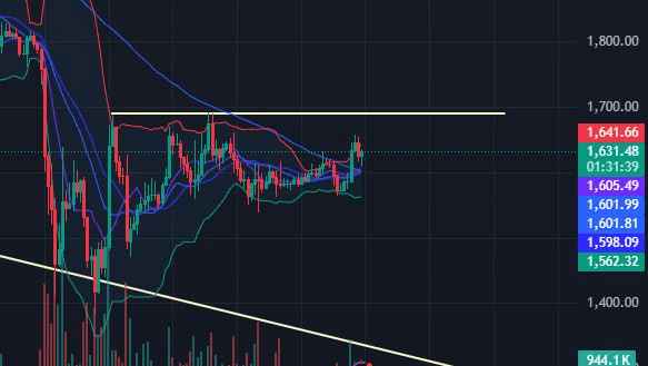 fireantcrypto/32812/6068755108570710323