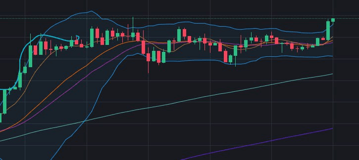 fireantcrypto/33433/6147753597392240992