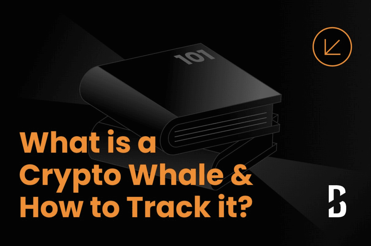 fireantcrypto/33604/6167945600155370991