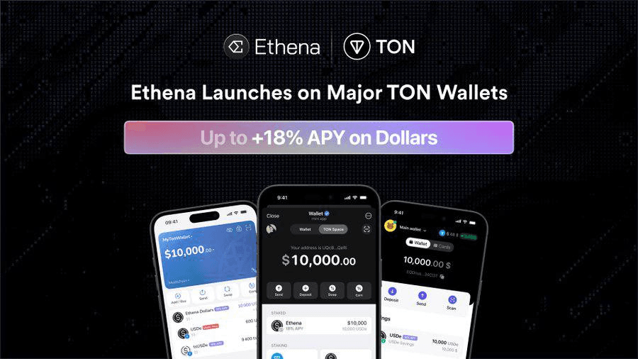 fireantcrypto/33806/6195151267332998517