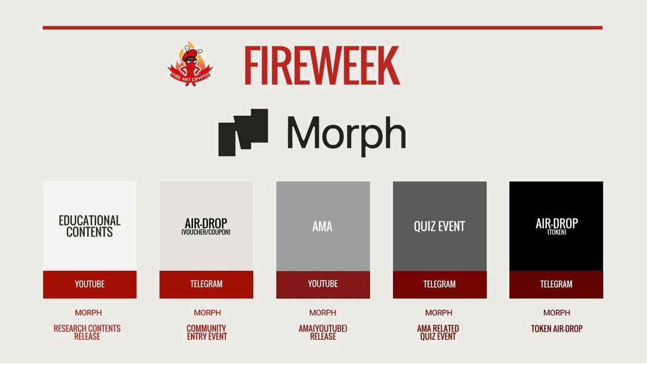 fireantcrypto/34084/6231260968650917595