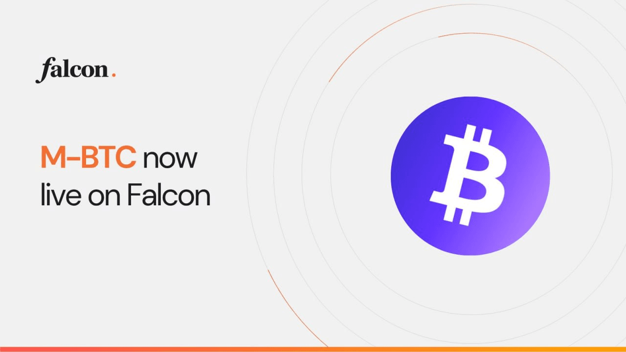 fireantcrypto/34465/6276309927135921675
