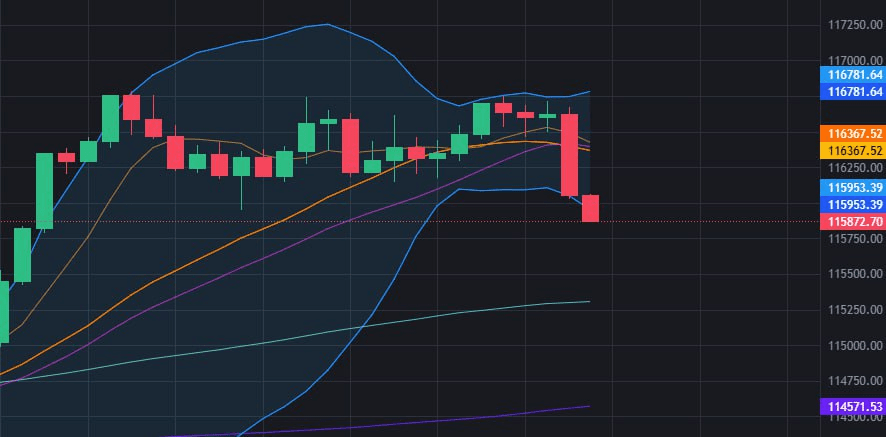 fireantcrypto/35277/6100238352721757270