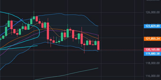 fireantcrypto/36772/6289816843371351491