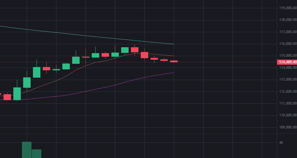 fireantcrypto/36826/6296197622879947748