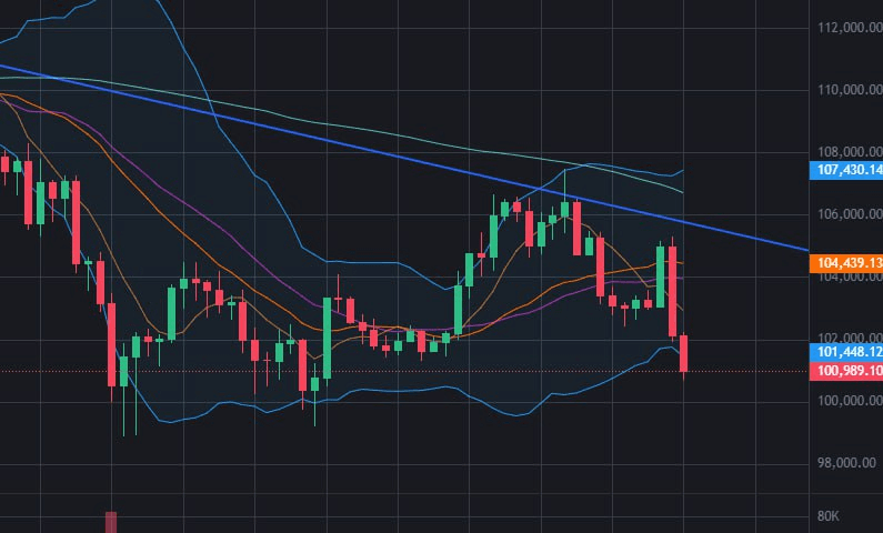 fireantcrypto/37656/6100601316116728582