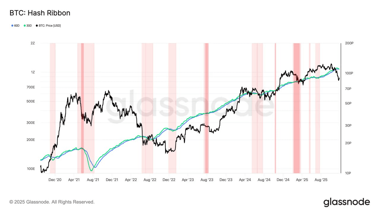 fireantcrypto/38037/6147520565355416392