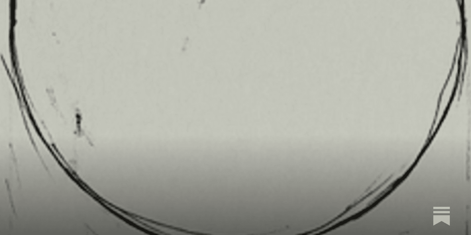 fireantcrypto/39806/5829185505000623382