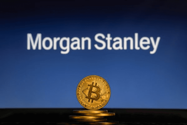 fireantcrypto/40676/6246660818707615274