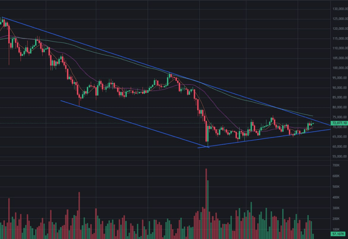 fireantcrypto/40730/6253751577785077648