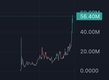 gensencoin/10682/6276161651979961948