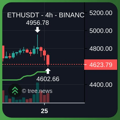 gensencoin/11830/6151921111533733050