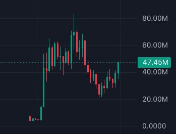 gensencoin/12252/6260297503077419068