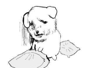 gensencoin/12681/6111544519124782170