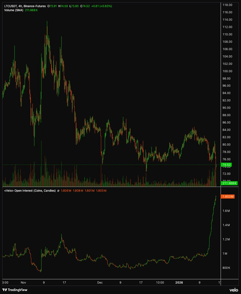 gensencoin/13012/6287497475132165709