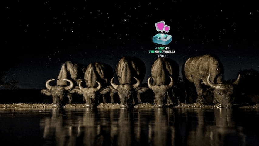 gensencoin/13714/5973295564885527924