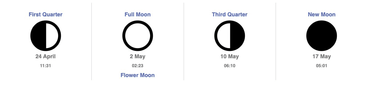 gensencoin/13815/6302995911864422063