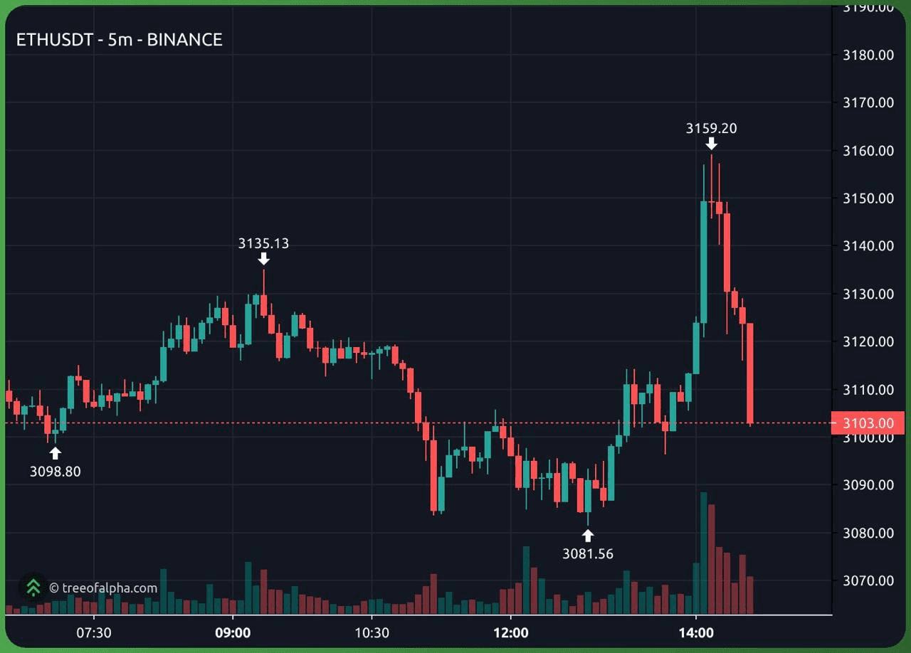 gensencoin/9344/6192792875020959223