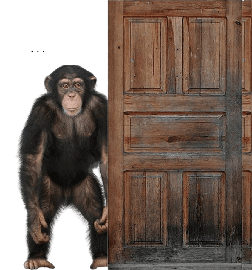 inlyeog/4165/6242343646430694660