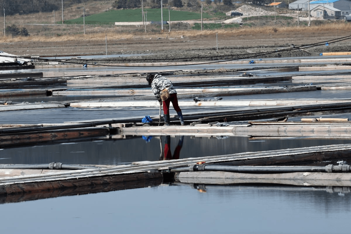 marshallog/15077/6316436260394222497